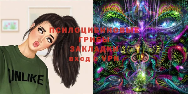 скорость Гусев