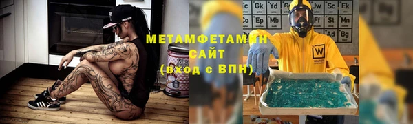 трава Гусиноозёрск