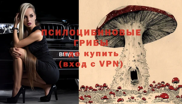 скорость Гусев