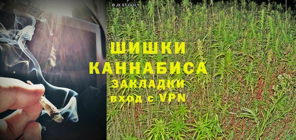 трава Гусиноозёрск