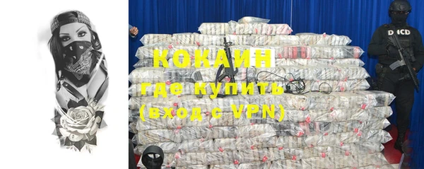 трава Гусиноозёрск