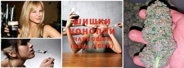 трава Сясьстрой