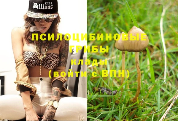 гашишное масло Гусь-Хрустальный