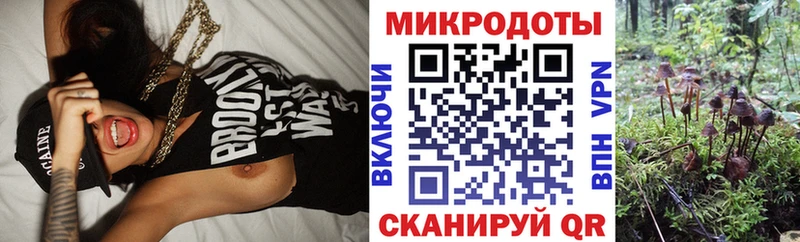 закладка  Вязники  Псилоцибиновые грибы Cubensis 