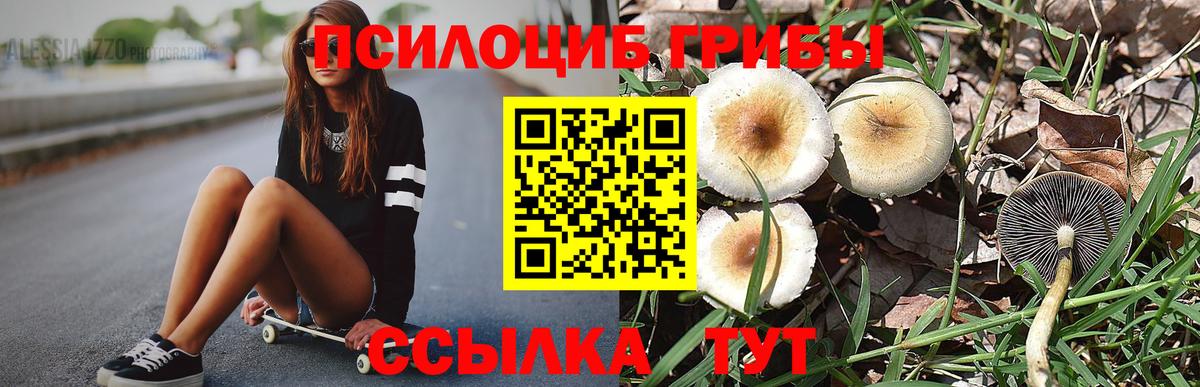 Галлюциногенные грибы Cubensis Вязники