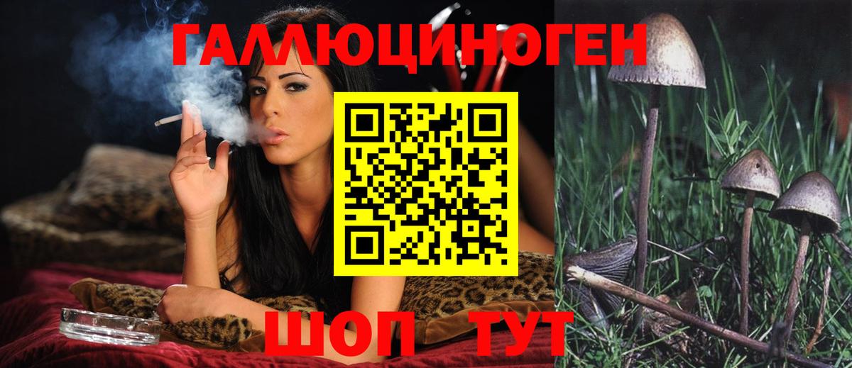 Вязники  Псилоцибиновые грибы Magic Shrooms  Вход с VPN 