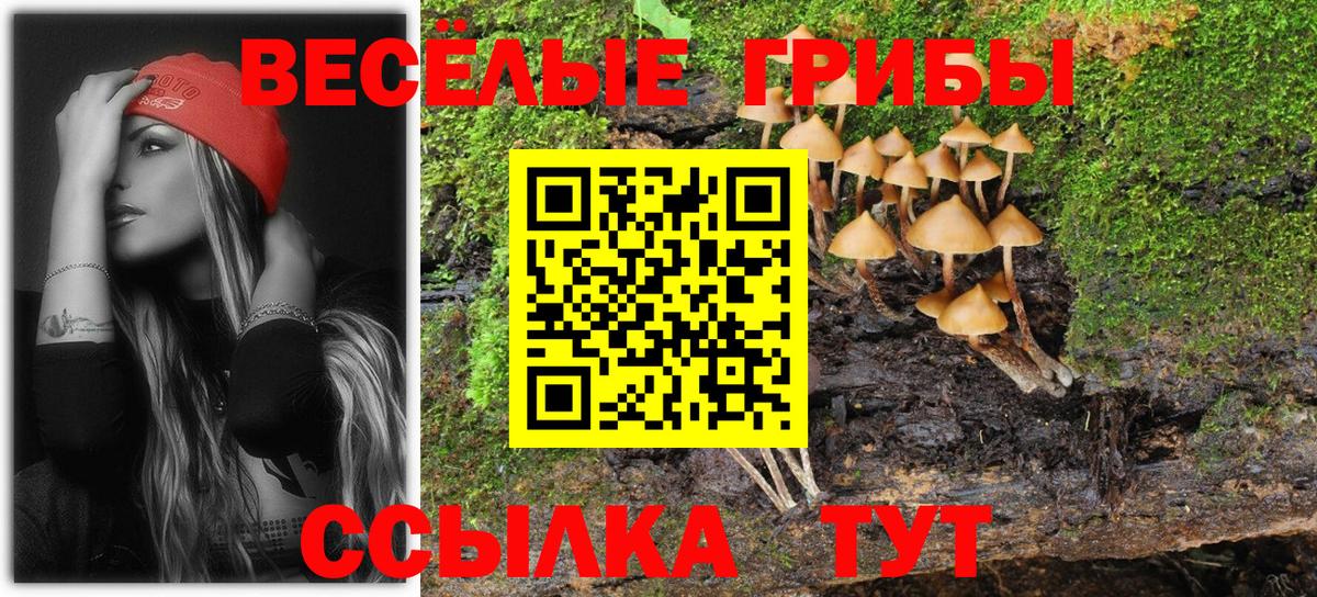 Галлюциногенные грибы ЛСД  Вязники 